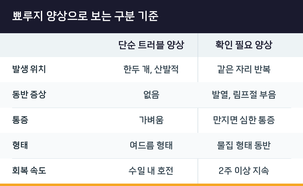 뾰루지 양상으로 보는 구분 기준