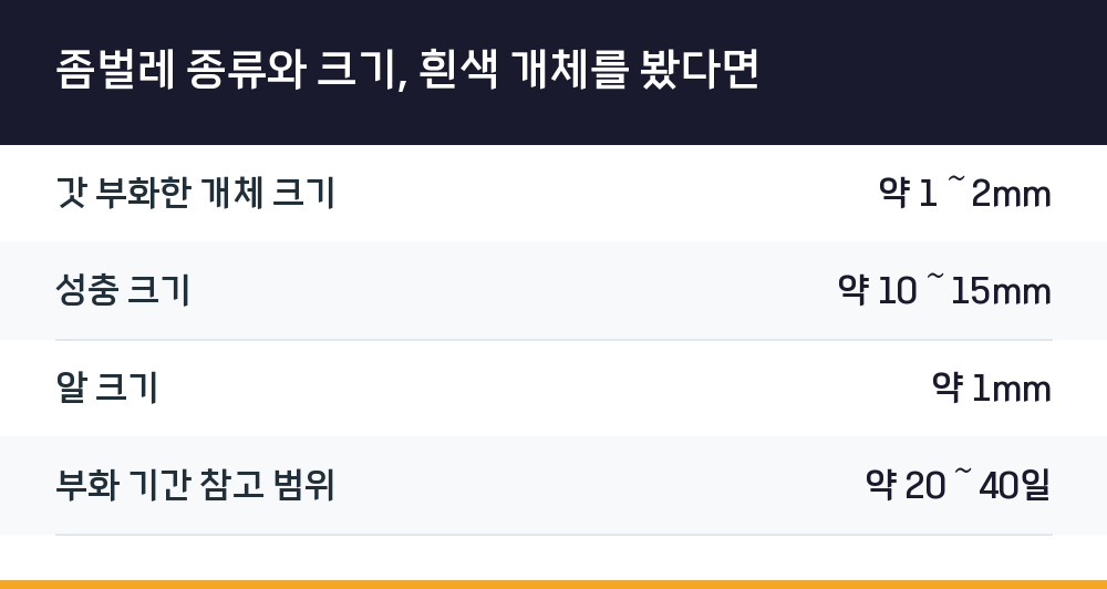 좀벌레 종류와 크기, 흰색 개체를 봤다면