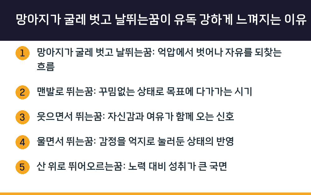 망아지가 굴레 벗고 날뛰는꿈이 유독 강하게 느껴지는 이유