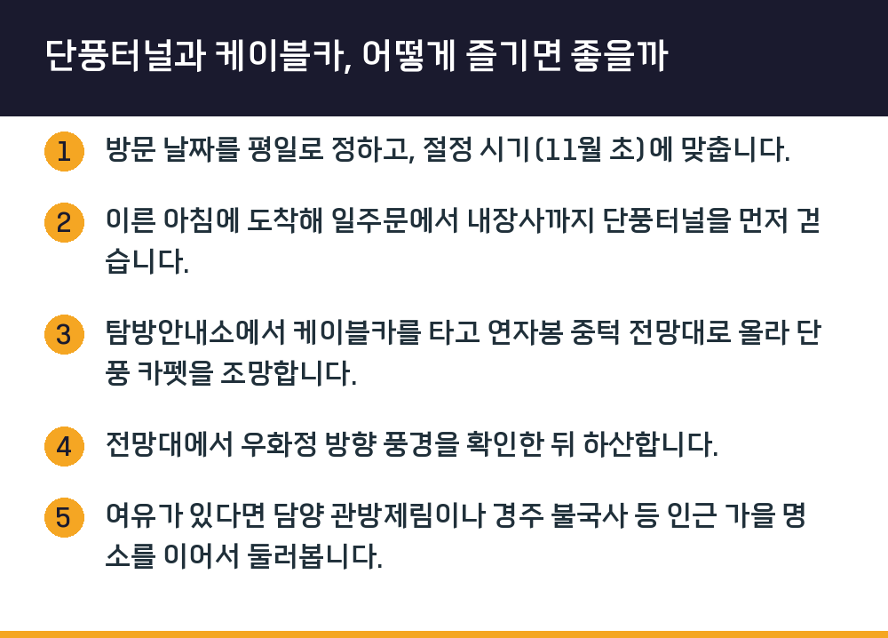 단풍터널과 케이블카, 어떻게 즐기면 좋을까