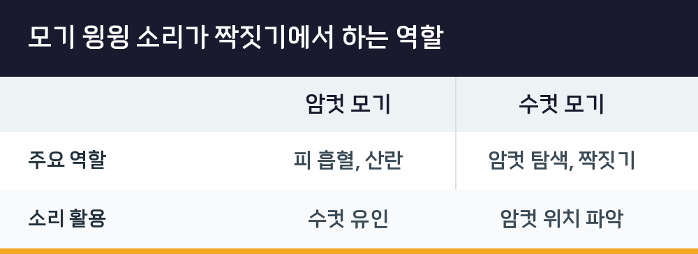 모기 윙윙 소리가 짝짓기에서 하는 역할