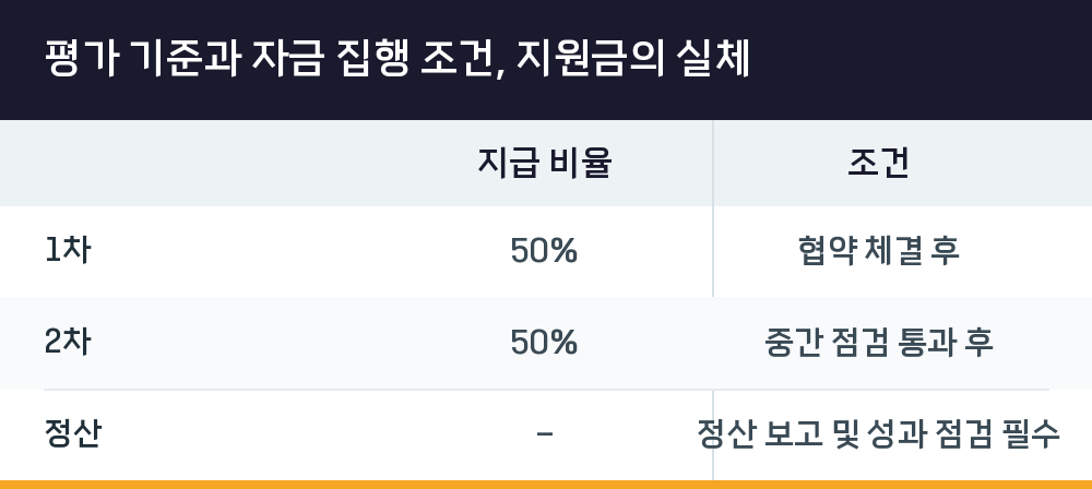 평가 기준과 자금 집행 조건, 지원금의 실체