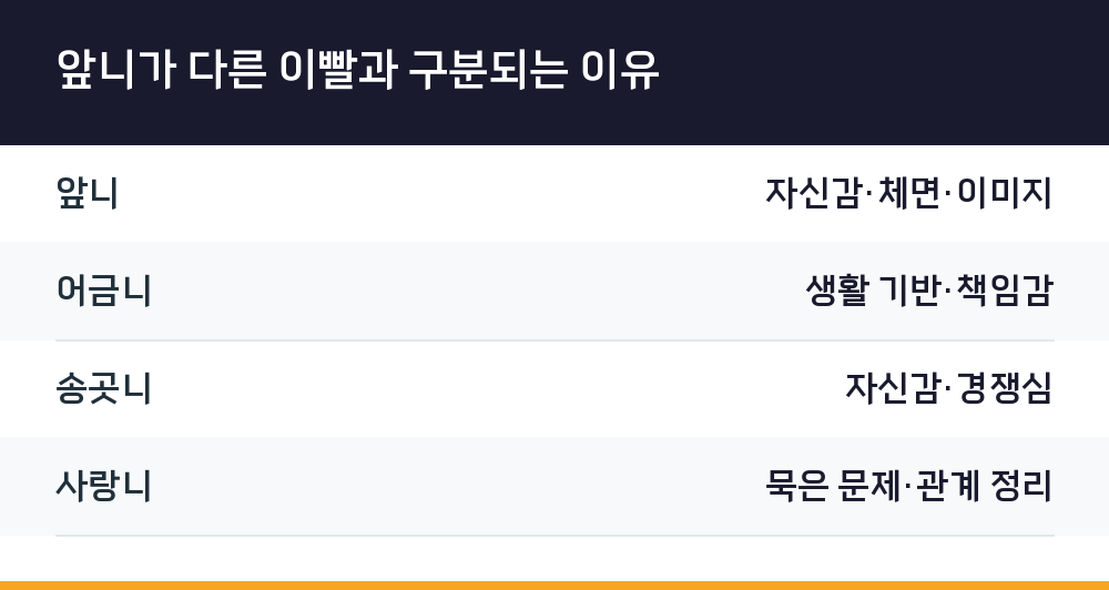앞니가 다른 이빨과 구분되는 이유