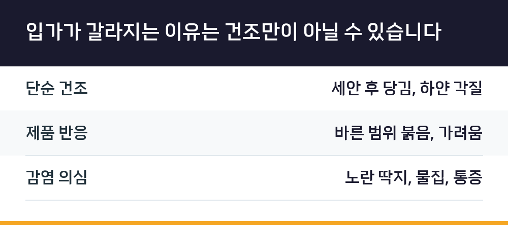 입가가 갈라지는 이유는 건조만이 아닐 수 있습니다