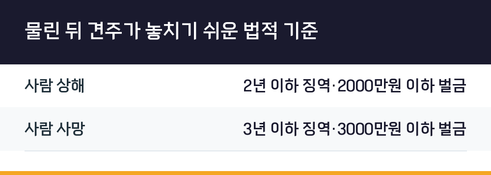 물린 뒤 견주가 놓치기 쉬운 법적 기준