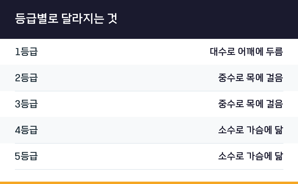 등급별로 달라지는 것