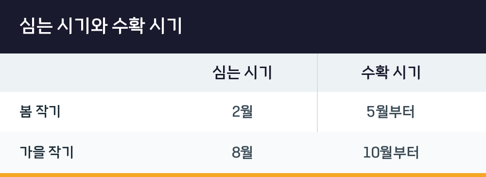 심는 시기와 수확 시기