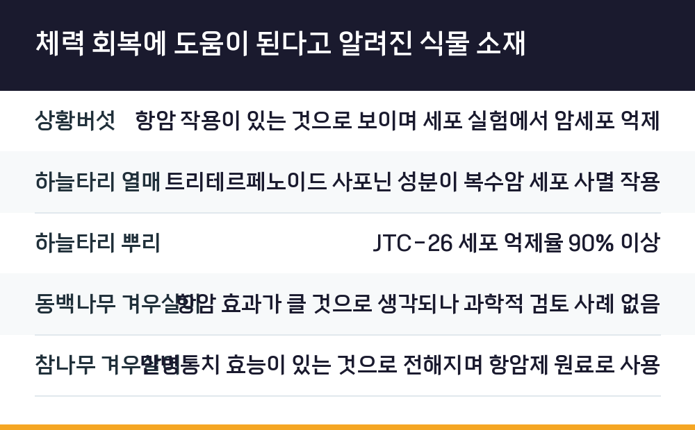 체력 회복에 도움이 된다고 알려진 식물 소재
