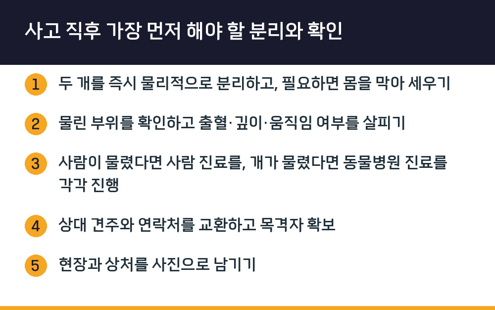 사고 직후 가장 먼저 해야 할 분리와 확인