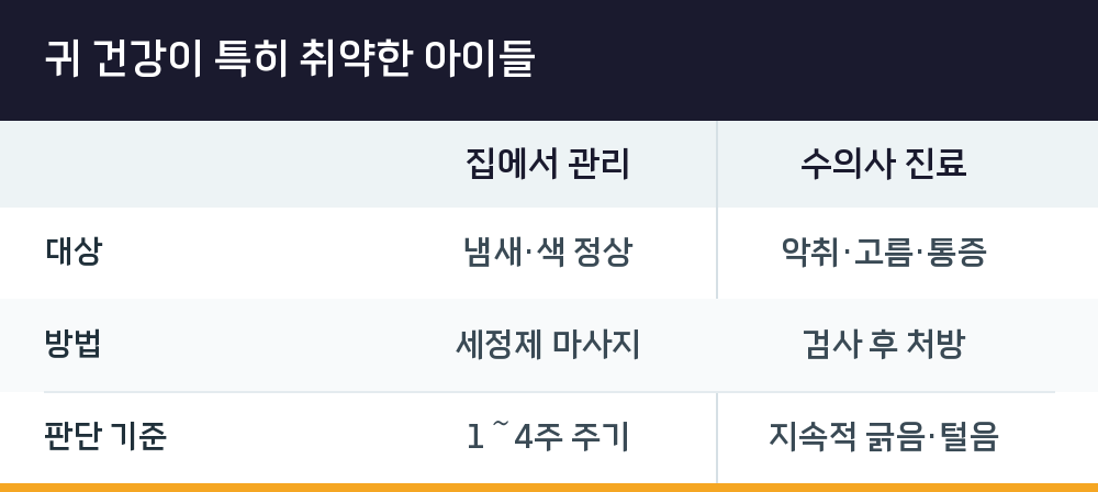 귀 건강이 특히 취약한 아이들