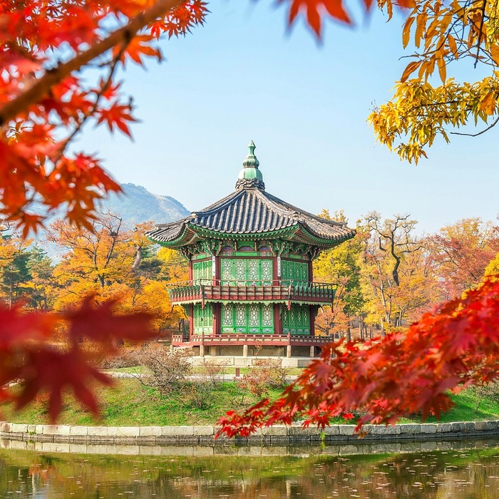 한국 문학 신드롬