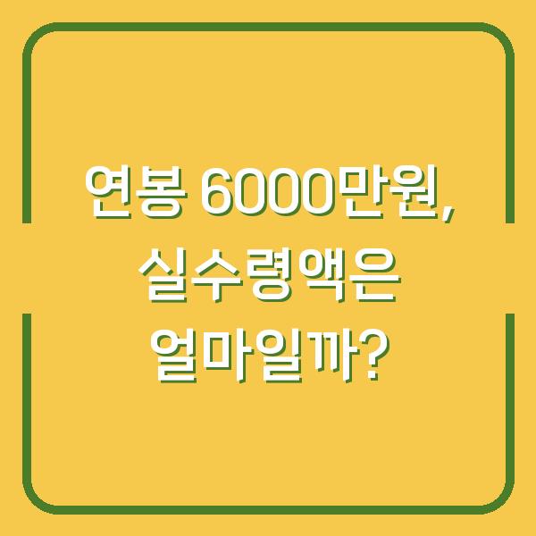 연봉 6000만원, 실수령액은 얼마일까?