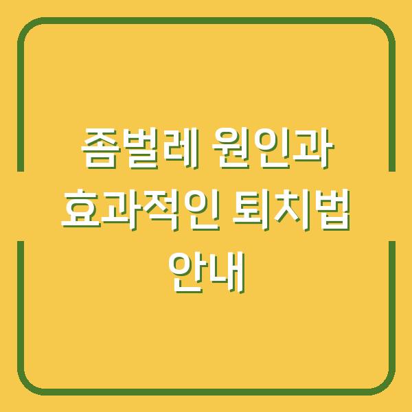 좀벌레 원인과 효과적인 퇴치법 안내