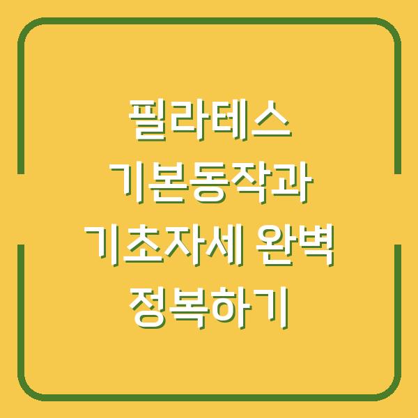 필라테스 기본동작과 기초자세 완벽 정복하기