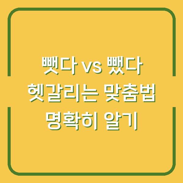 뺏다 vs 뺐다 헷갈리는 맞춤법 명확히 알기