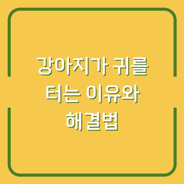 강아지가 귀를 터는 이유와 해결법