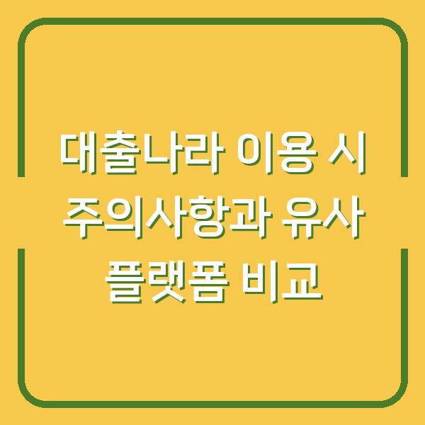 대출나라 이용 시 주의사항과 유사 플랫폼 비교