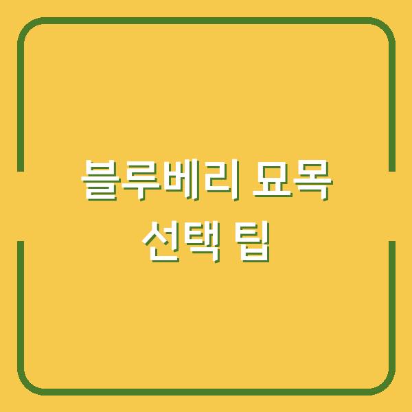 블루베리 묘목 선택 팁