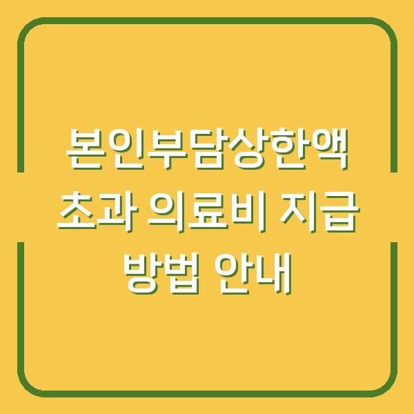 본인부담상한액 초과 의료비 지급 방법 안내