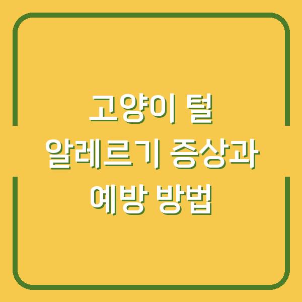 고양이 털 알레르기 증상과 예방 방법