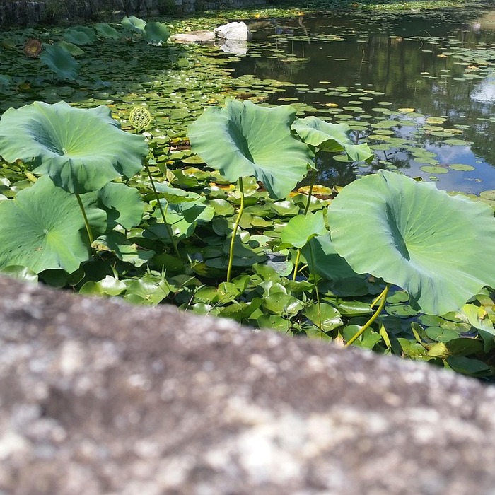 영주 소수서원