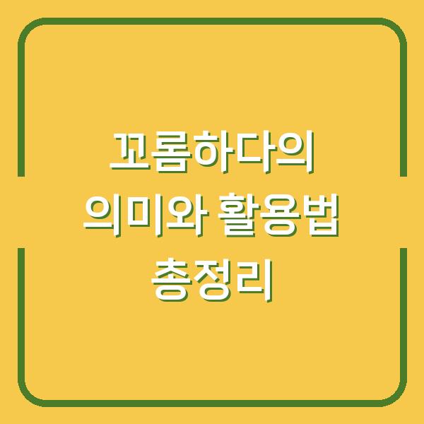 꼬롬하다의 의미와 활용법 총정리