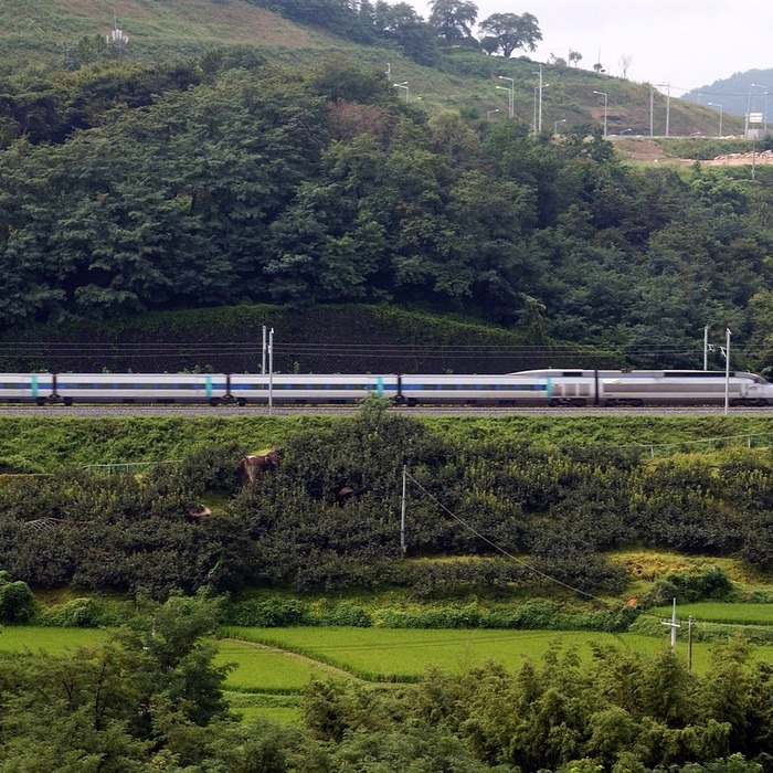서울 부산 KTX