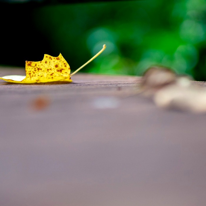 고엽제 후유증