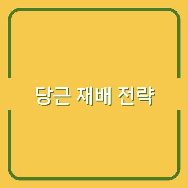 봄·가을 당근 파종 시기와 재배법, 수확량 높이는 핵심 전략