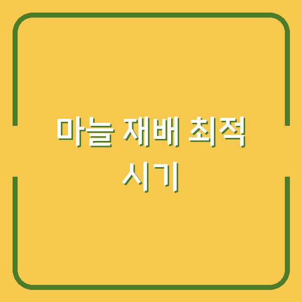 한지형과 난지형 마늘, 최적 심는 시기와 재배 방법으로 수확량 극대화하기