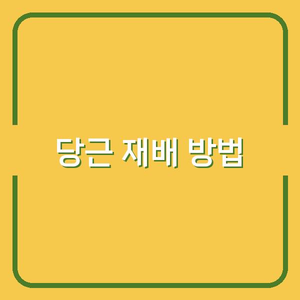 봄과 가을, 당근 파종 시기에 따른 최적의 재배 방법과 팁