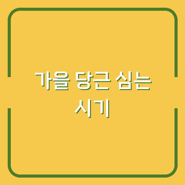 가을 당근, 심는 시기 놓치면 3개월 후 수확량이 반토막 납니다