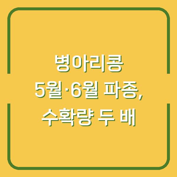 5월·6월에 병아리콩 심으면 수확량 두 배? 지금 심어야 하는 이유