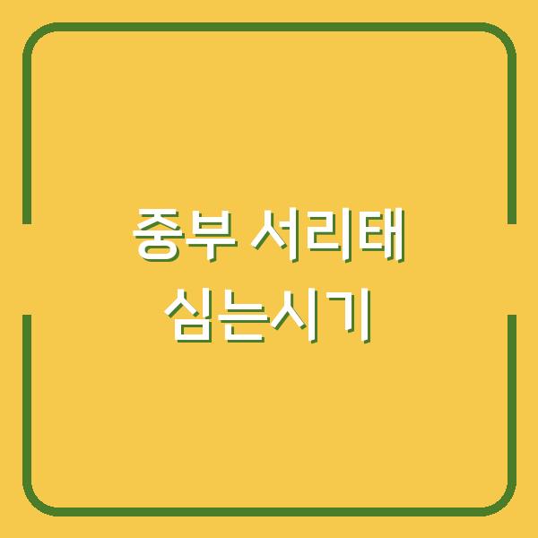 중부지방 서리태 심는시기, 이렇게 하면 수확량 2배 차이납니다