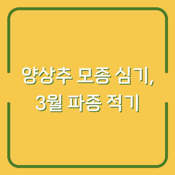 양상추 모종 심기, 3월 파종 시기 놓치면 수확량 반토막