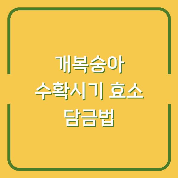 개복숭아 수확시기 놓치면 효능 반토막…효소 담그는 법과 보관 팁