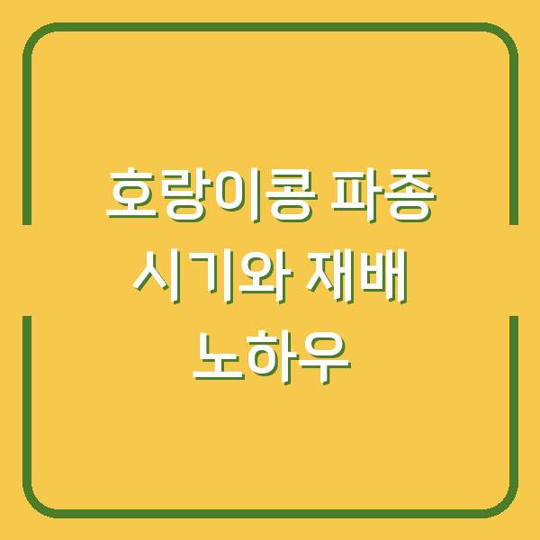 호랑이콩 심는 시기와 파종 방법, 수확량 2배로 늘리는 재배 노하우