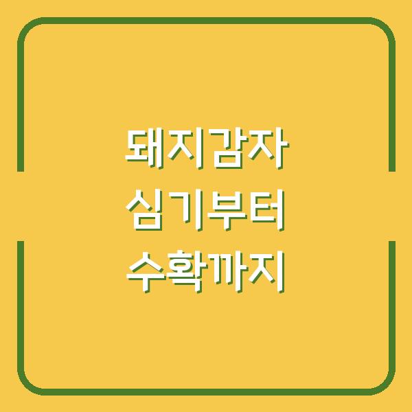 돼지감자 심는 시기부터 수확까지, 효능과 활용법 5가지