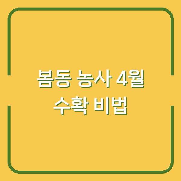 봄동 농사, 4월 수확까지 이 방법 하나면 텃밭에서도 대박 납니다
