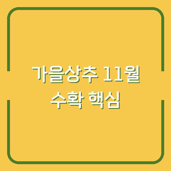 가을상추, 지금 심으면 11월까지 수확합니다 (파종·정식·비료·물주기 핵심만)