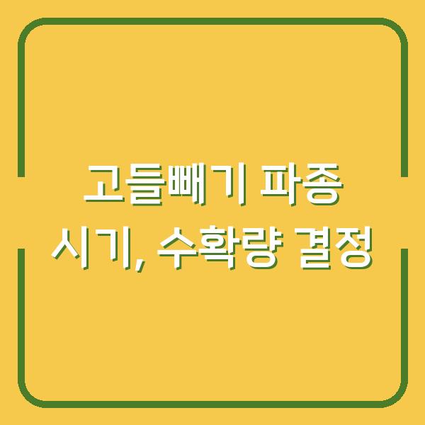 고들빼기 심는 시기 놓치면 수확량 반토막…지금 해야 할 파종과 관리