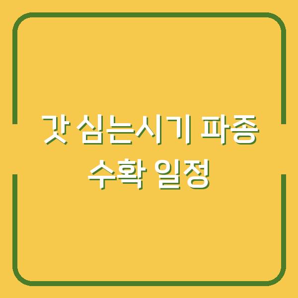갓 심는시기와 파종 방법, 3개월 수확 일정을 한눈에