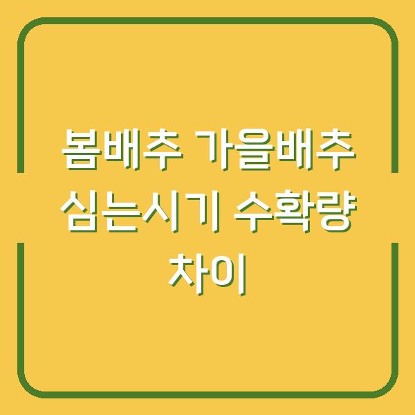 봄배추 vs 가을배추, 심는 시기 달리하면 수확량 2배? 물주기·거름주기 핵심 차이