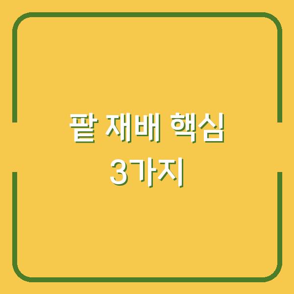 팥 심는 시기부터 수확까지, 소소하지만 확실한 재배 방법 3가지