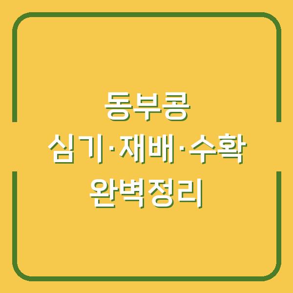 동부콩 심는시기와 재배 방법, 수확시기까지 한 번에 정리