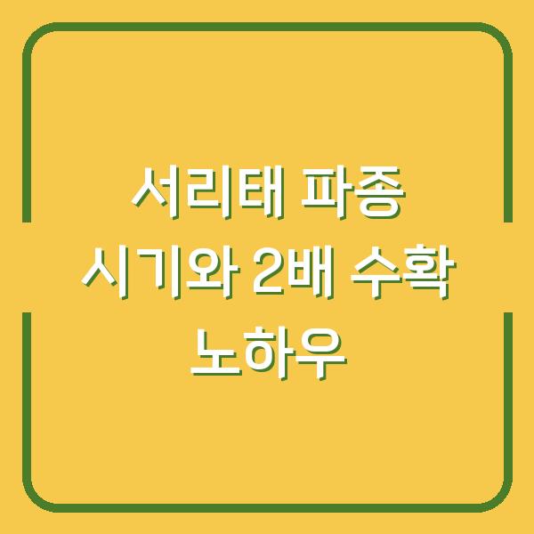 서리태 심는 시기 놓치면 수확량 반토막? 3년 농사 실패 깨고 2배 수확한 노하우