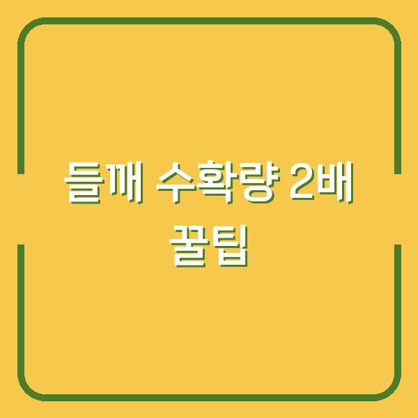 들깨 수확, 이렇게만 하면 수확량 2배! 베는 시기부터 말리기·터는 꿀팁
