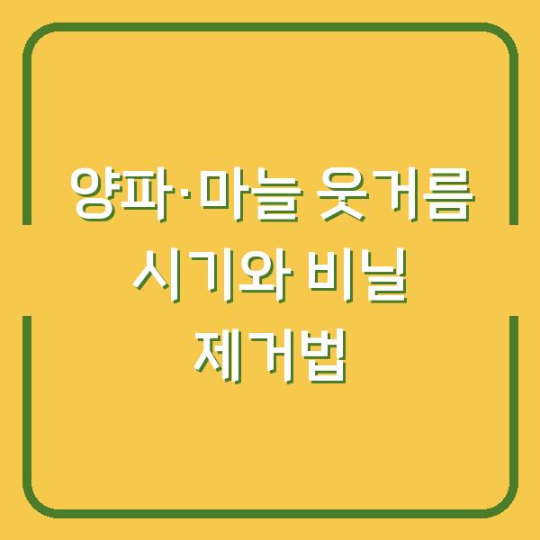 양파·마늘 웃거름 주는 시기와 비닐 벗기기, 이렇게 하면 수확량 2배