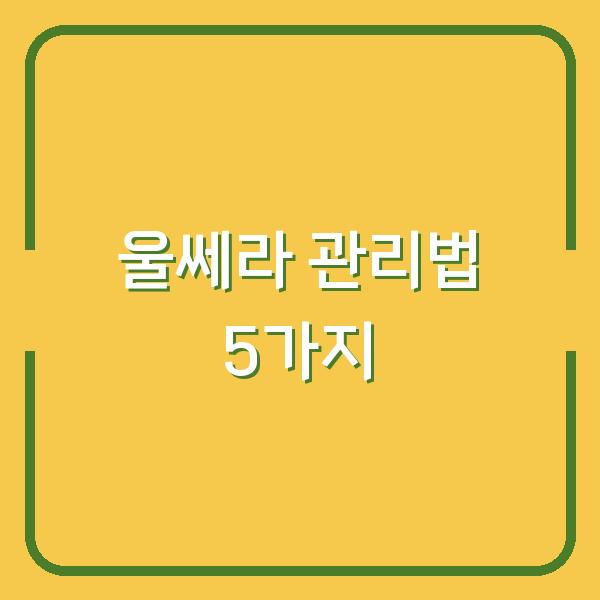 울쎄라 효과 200% 살리는 관리법 5가지 – 놓치면 후회합니다