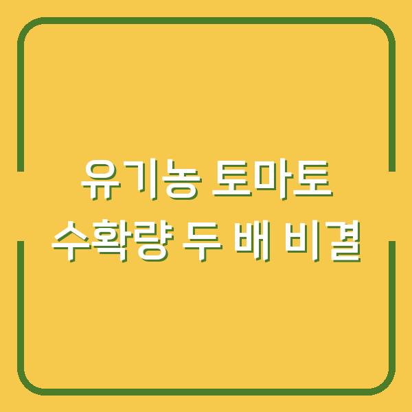 유기농 토마토 농사, 3개월 만에 수확량 두 배로 늘린 비결